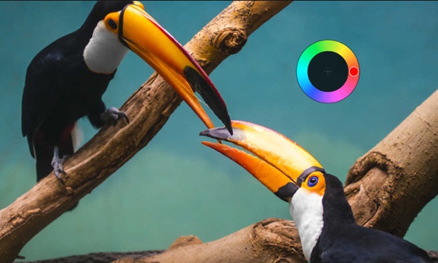 The best iPad apps of 2014