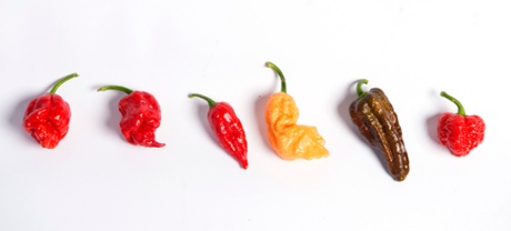 Feeling Hot Hot Hot? Learn To Love Chillies - Ndtv Food