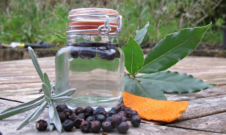 Homemade gin