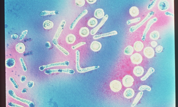 Anti-Inflammatory Drugs Could Fight Depression