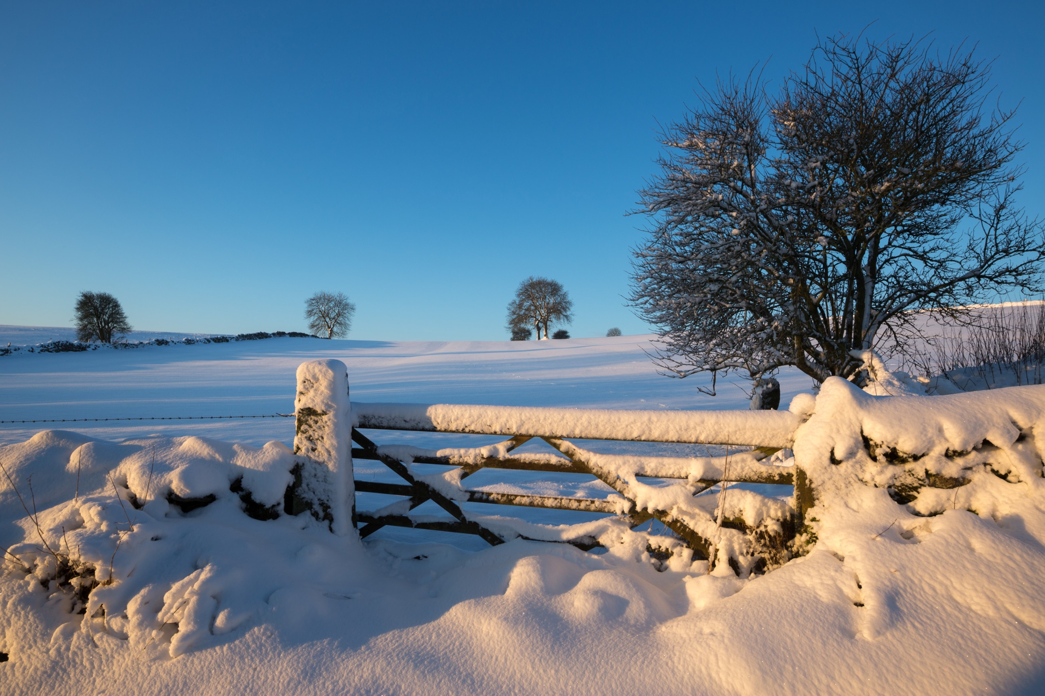 snow-hits-the-uk-in-pictures-world-news-the-guardian