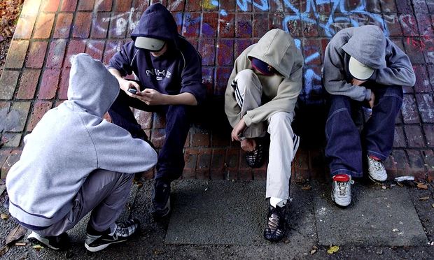 The Teenage Brain review – a science-based bid to understand an ‘alien species’