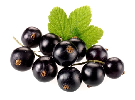 Blackcurrants contain eugenol, alpha-terpineol, limonene and diacetyl - the taste of Christmas.