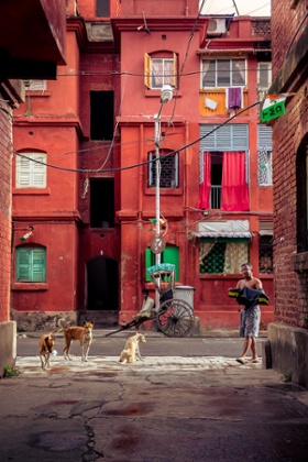 Morning sun fills up a street in Bowbazar just before the elections with the Communists trying to regain lost glory, Kolkata