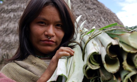 A Matsigenka woman in south-east Peru where the Camisea gas project is taking place. 
