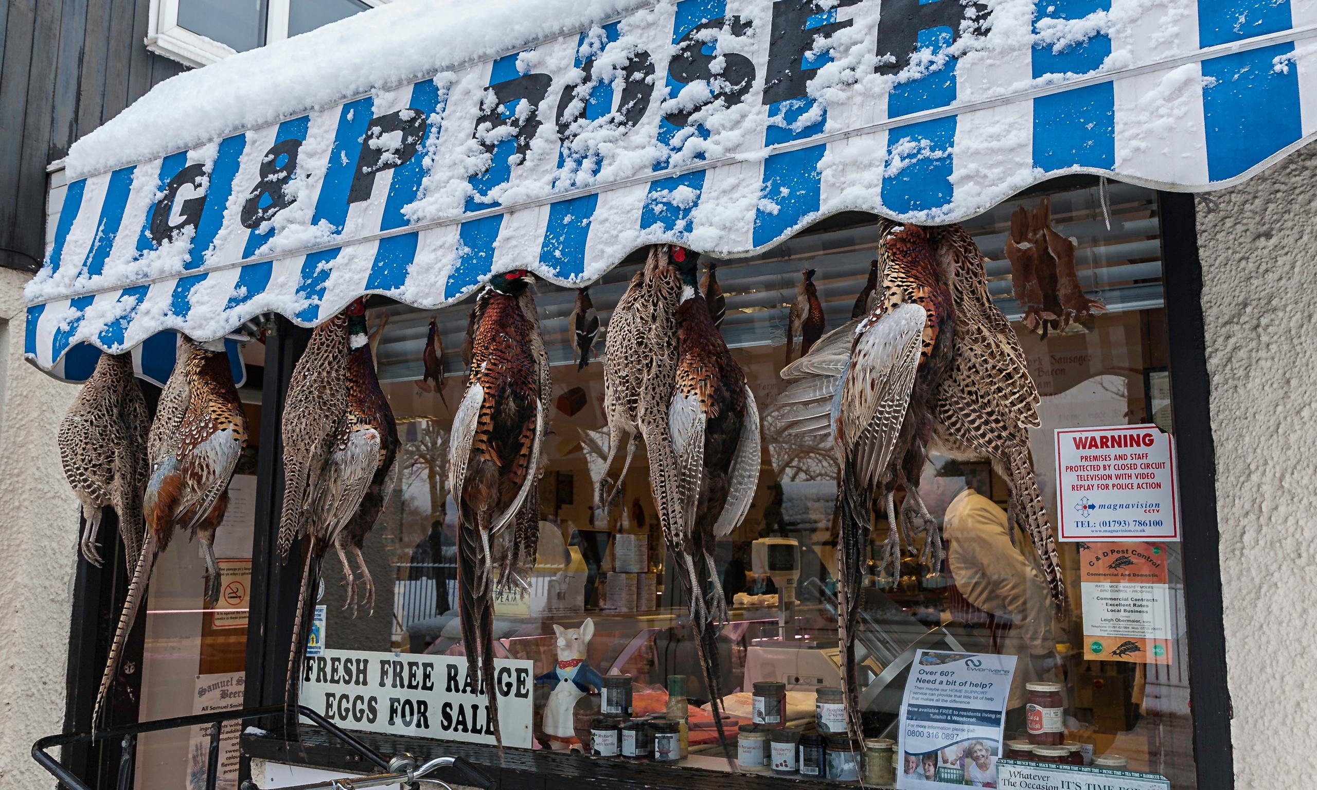 Should Meat Be Displayed In Butcher Shop Windows Life And Style