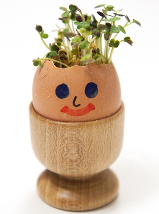 Egg and cress, in non-sandwich form.