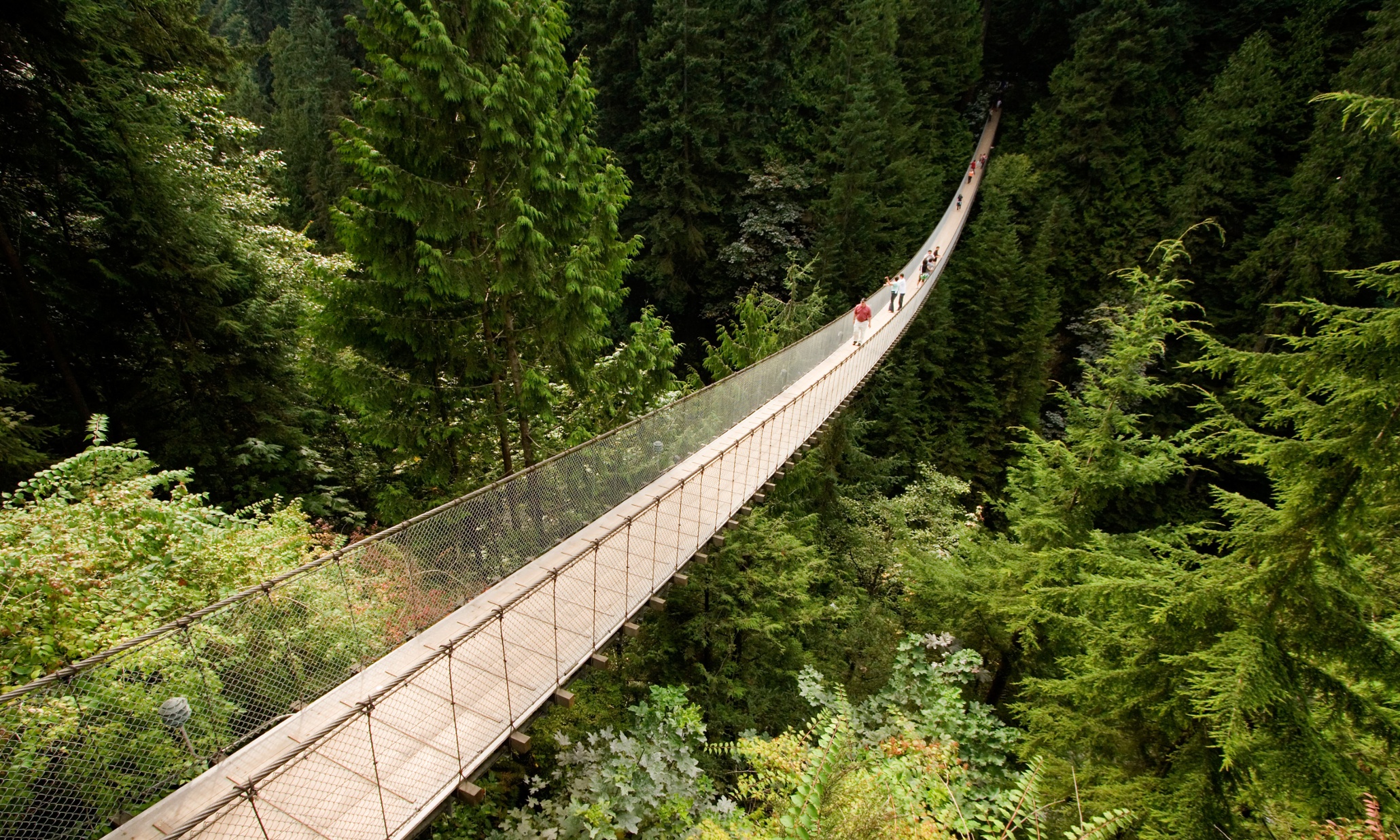 the-world-s-scariest-bridges-in-pictures-travel-the-guardian