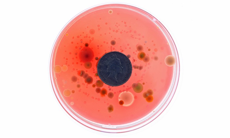 Money No Object: Money No Object #1