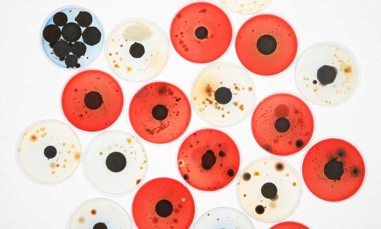 Money No Object: Money No Object #2