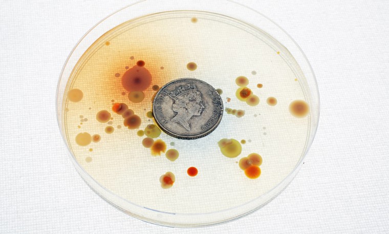 Money No Object: Money No Object #3