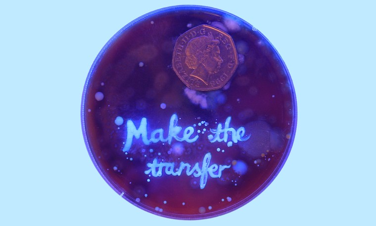 Money No Object: Money No Object #4