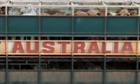Australia to resume live exports to Egypt after animal welfare deal struck