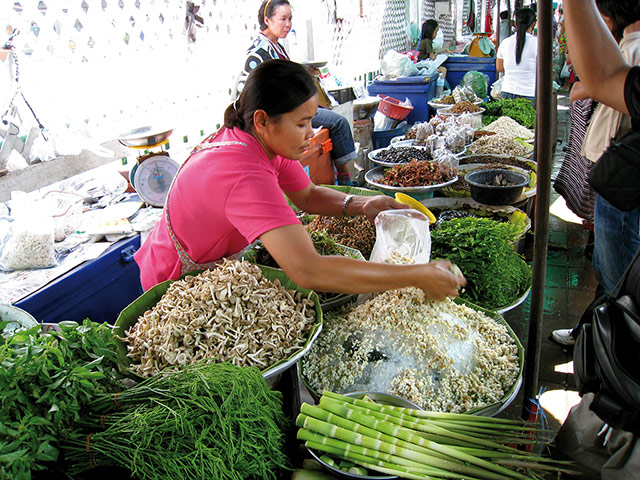 Bugs: Market in Laos