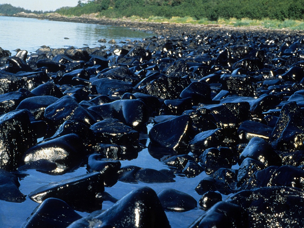 exxon-valdez-oil-spill-in-pictures-environment-the-guardian