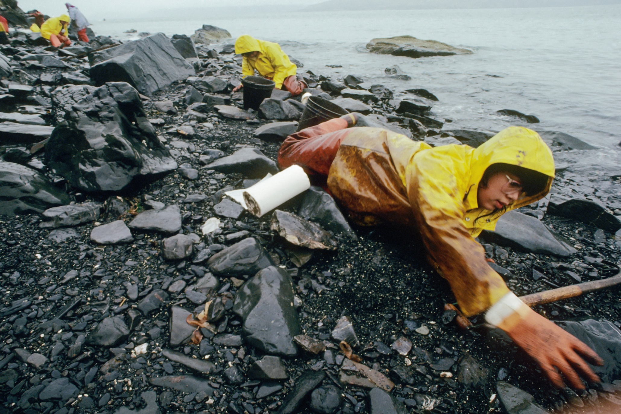 Exxon oil spill essay