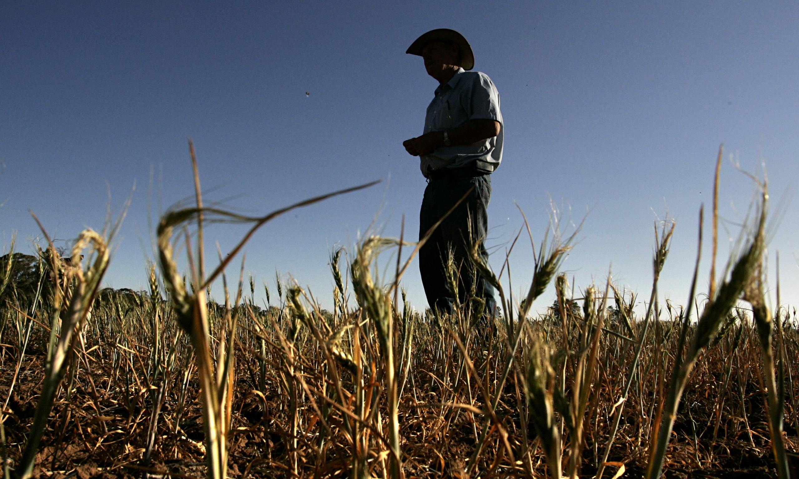 Impact Of Climate Change On Wheat Production Pdf – DWWITP