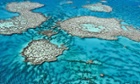 The Great Barrier Reef: an obituary
