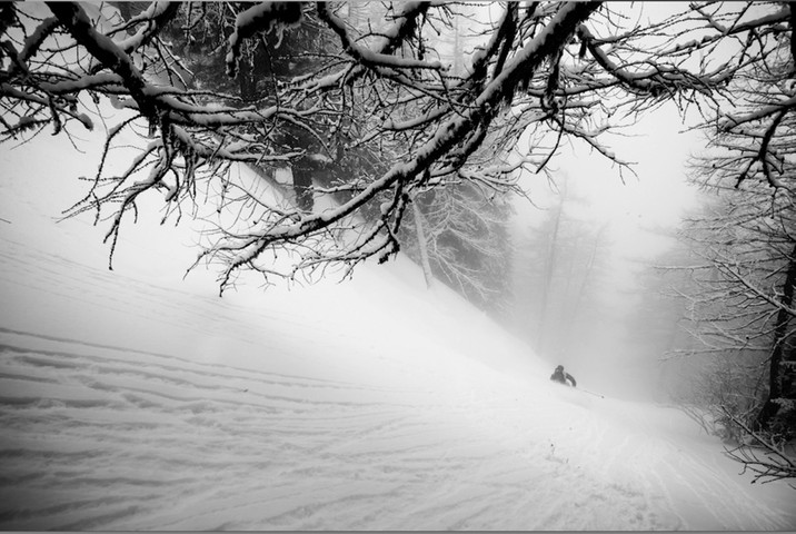 Killer Loop Click: Deep in the woods of Courmayeur Mont Blanc 