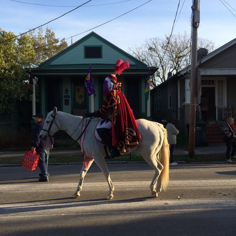 Mardi Gras: Mardi Gras Horse