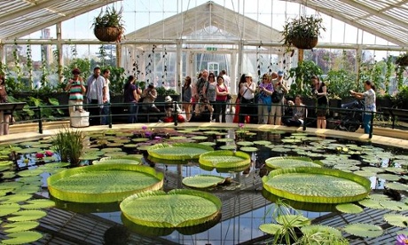 Kew gardens, London, Britain, 6/5/13