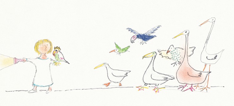 Burningham gallery: Birds