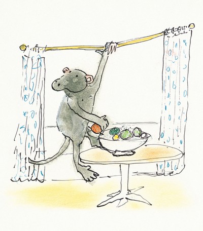 Burningham gallery: monkey