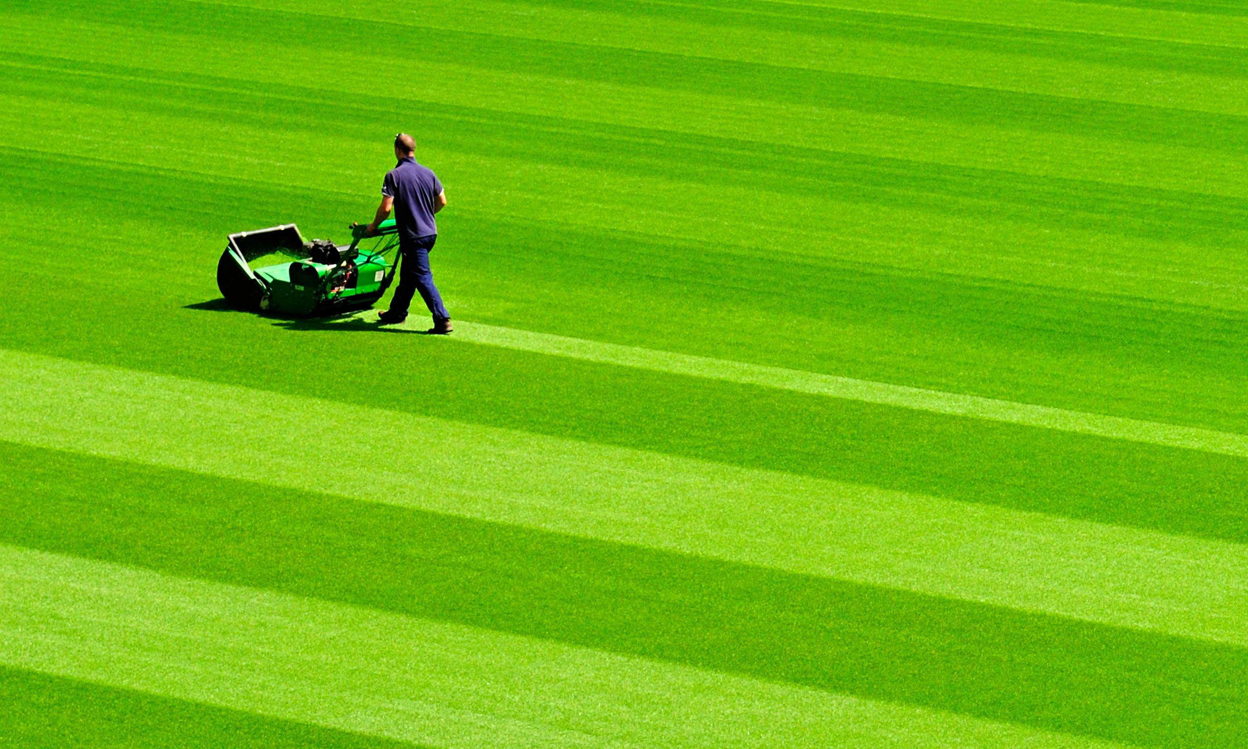 buying-a-lawnmower-a-guide-money-the-guardian