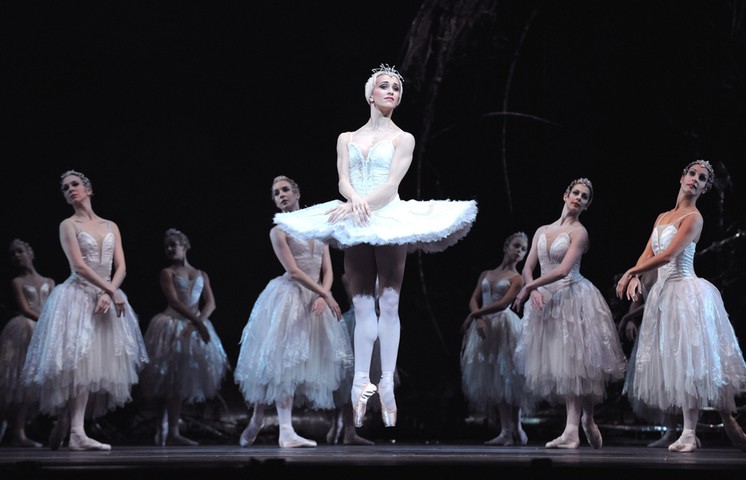 sloth: Swan lake