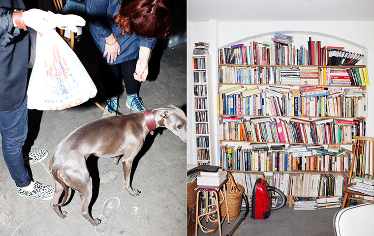 Get together: Felicia's pad in Hackney, being sniffed out by Mouse the whippet.