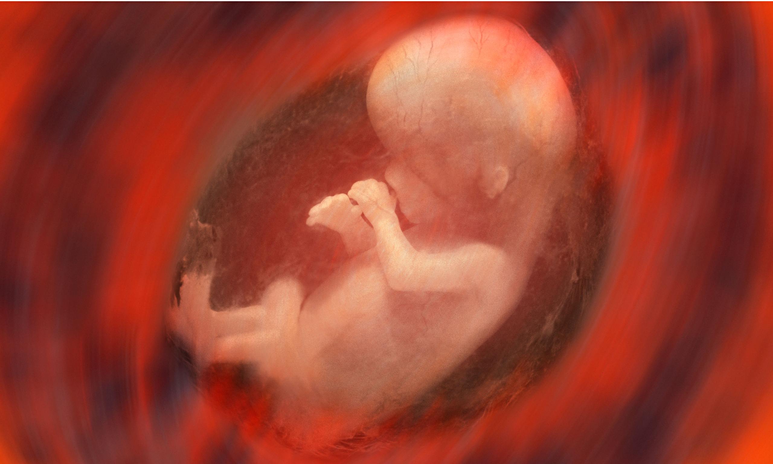 Does The Nutrition Of The Mother Affect The Fetus