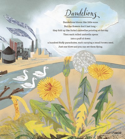 Guide to spring: First Book of Nature