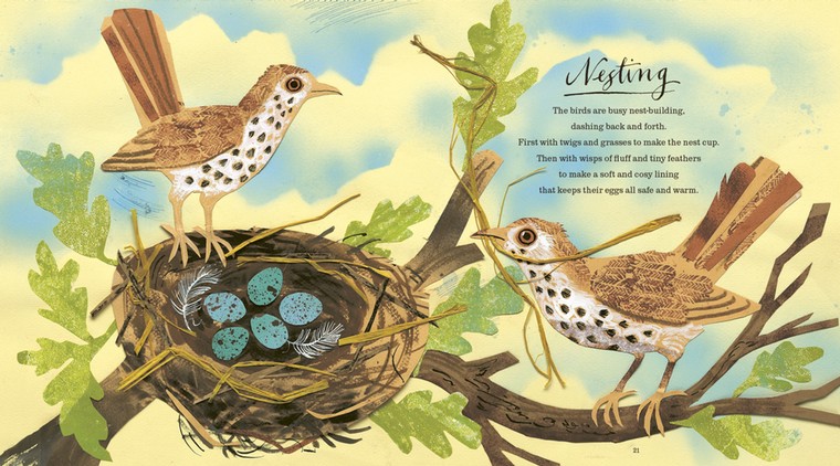 Guide to spring: First Book of Nature