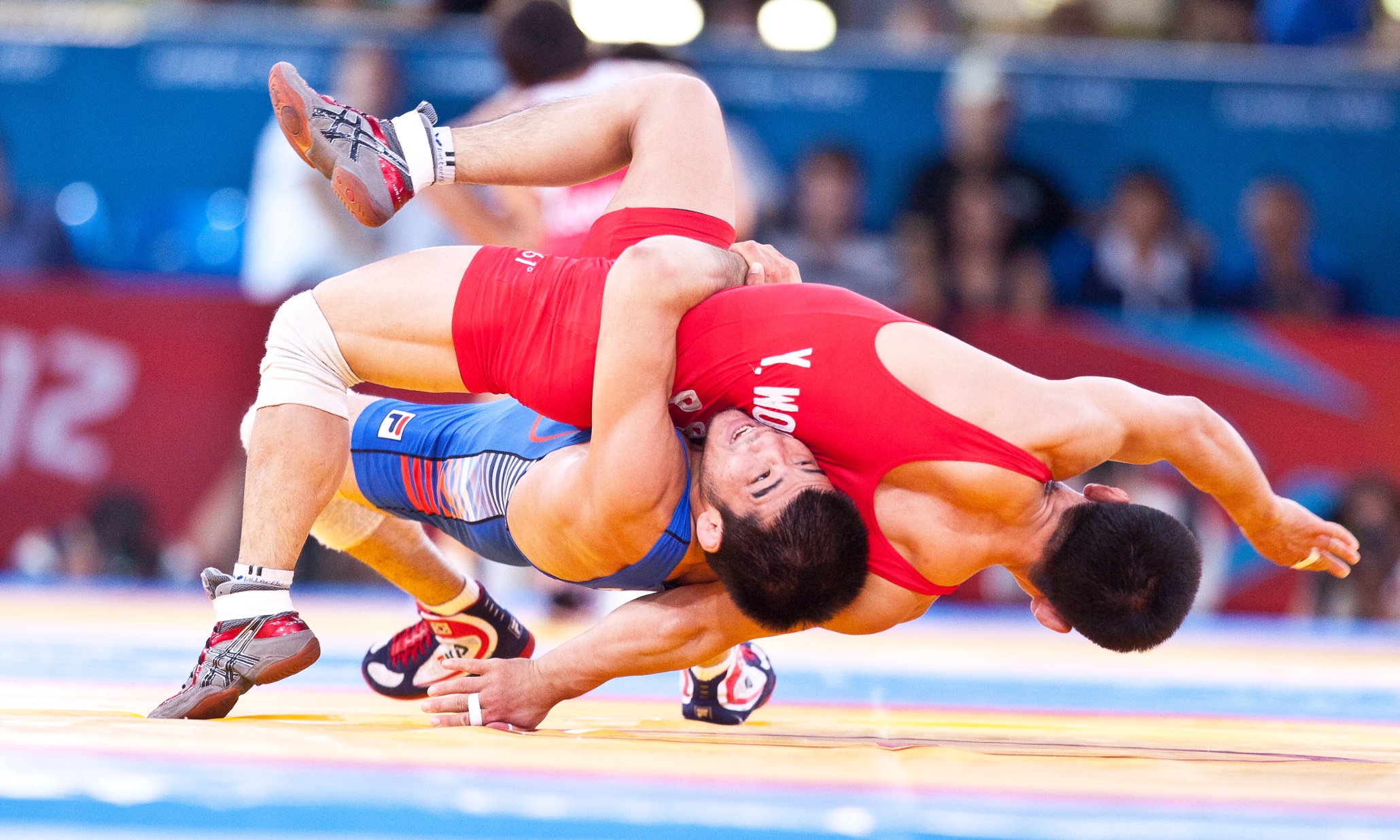 north-korea-to-hold-international-pro-wrestling-contest-world-news