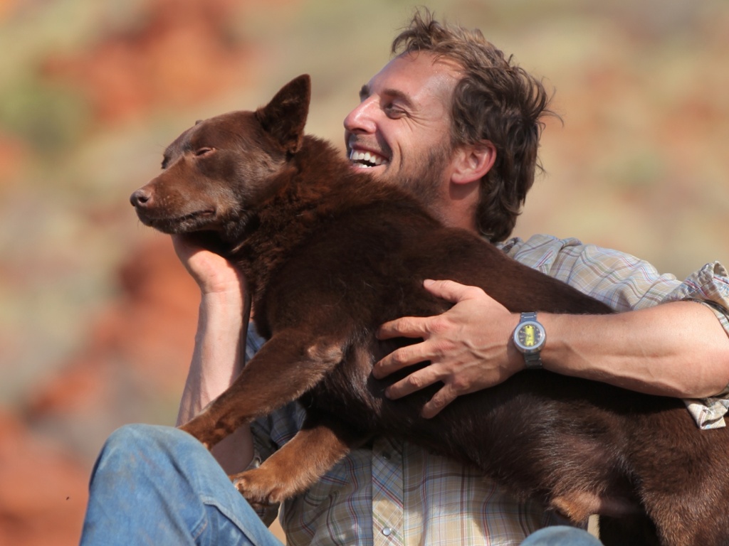 Red Dog prequel to be filmed in Western Australia’s Pilbara | Film