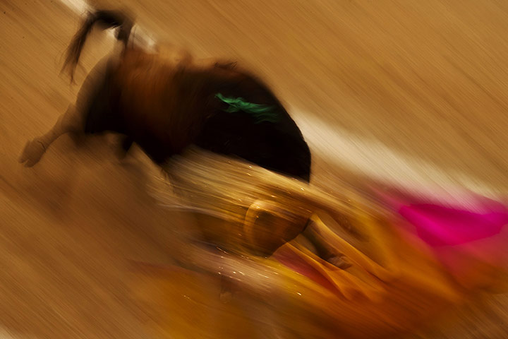 20 photos: Spanish bullfighter Uceda Leal performs at the San Isidro fair in Madrid