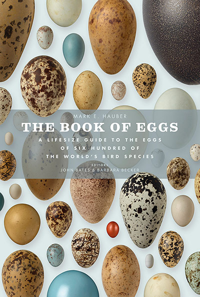 Book of Eggs: Book of Eggs by John Weinstein