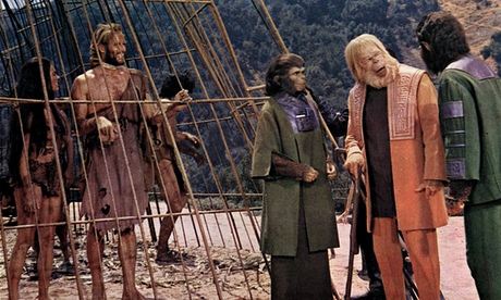 It seems monkeys and business really do mix when it comes to investing