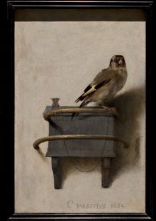 Carel Fabritius's The Goldfinch, which stars at the refurbished and modernised Mauritshuis