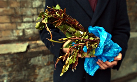 qat rule