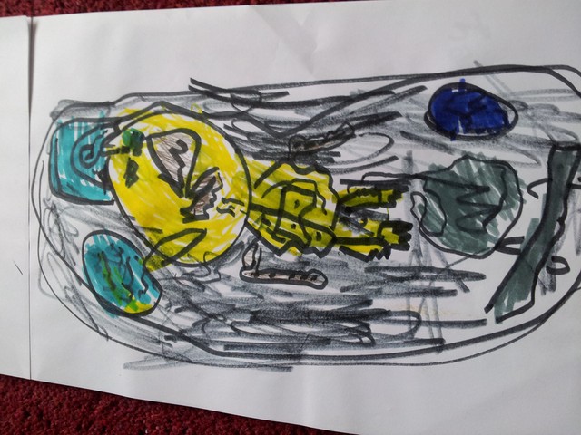 Monster drawing entries: By Luke, aged 4