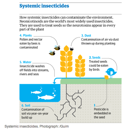 Systemic insecticides