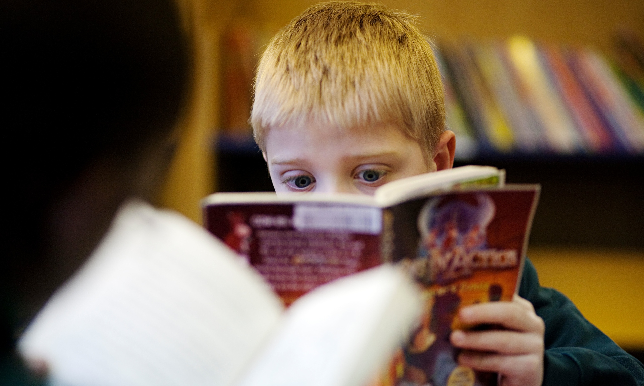 Great child. How to read a photograph. Начальное образование книга. Дорога к чтению.