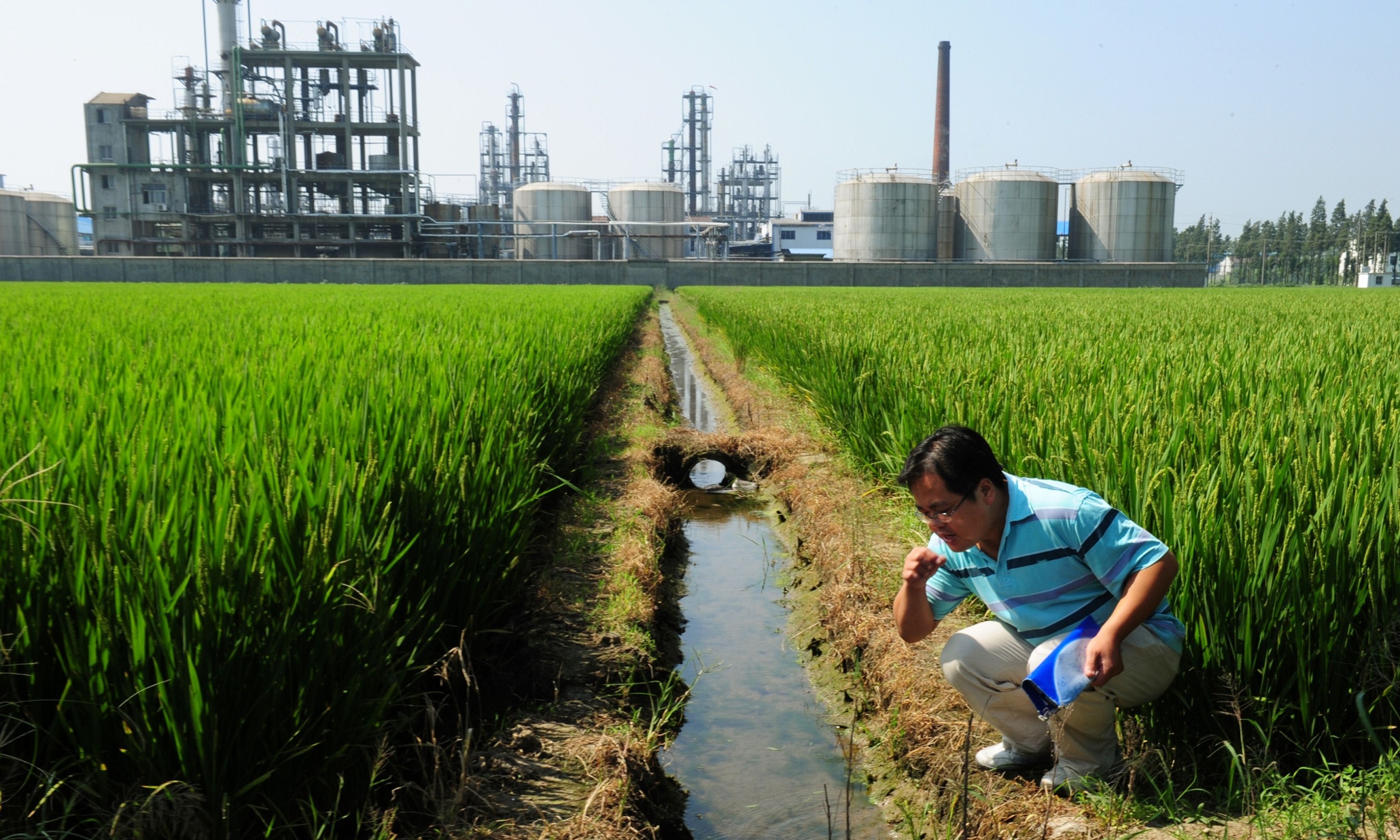 the-human-cost-of-china-s-untold-soil-pollution-problem-environment