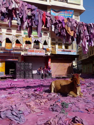 Holi festival in Pushkar