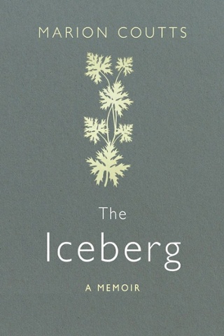 The Iceberg by Marion Coutts