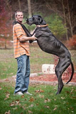 Kevin Doorlag stands with Zeus in a photo provided by Guinness World Records 2013 Book, which officially awarded him the title of world’s tallest canine