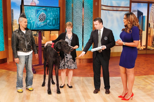 Guinness world record holders Kazuhiro Watanabe, the man with the tallest hair (3ft 8.6in) and Zeus, the tallest dog, appear on the Wendy Williams Show in New York City in 2012