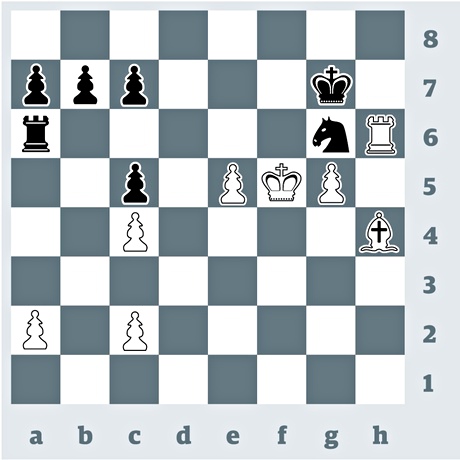 Chess-3375-004.jpg