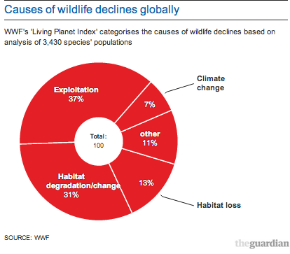 Human Deaths By Animals Chart